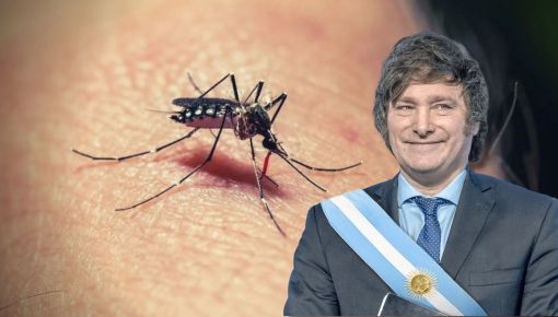 Dengue: el 60% de la sociedad cree que hubo un mal manejo de la epidemia