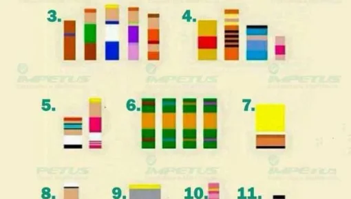 El juego para adivinar a partir de los colores que es viral