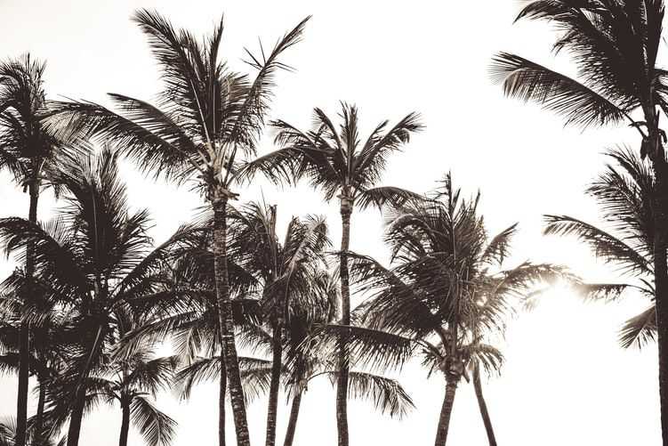 <p>Rep&uacute;blica Dominicana cuenta con playas de ensue&ntilde;o. Entre ellas, una de 48 kil&oacute;metros en la zona de&nbsp;Punta Cana.</p>