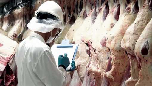 Prorrogan hasta fin de octubre restricciones para exportar carne