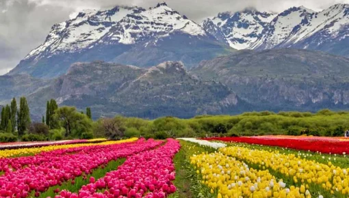 Tres pueblos argentinos compiten para ser distinguidos como el mejor del mundo