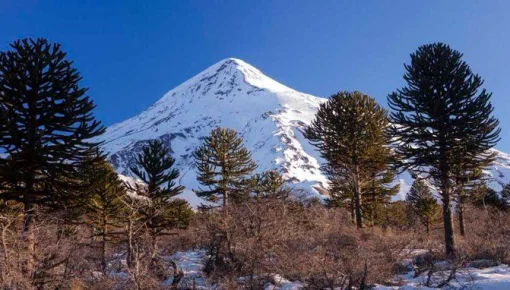 Movilización mapuche para rechazar derogación sobre el volcán Lanín