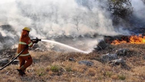 Agroquemas a full: seis provincias registran incendios forestales activos
