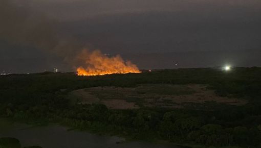 altText(CABA: otro incendio en la Reserva Ecológica Costanera Sur)}
