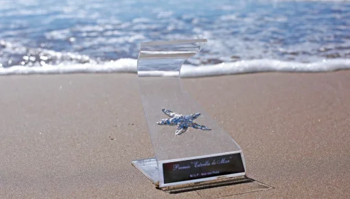 Estrella de Mar 2023: los ganadores