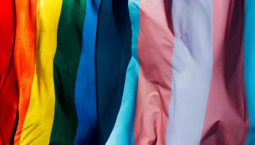 Se fundó la nueva Comisión Organizadora de la Marcha del Orgullo Línea Histórica