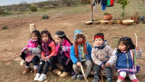 Neuquén y la comunidad mapuche: ¿dónde está la educación intercultural bilingüe?