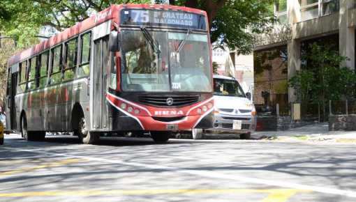 Seis provincias ya tienen su transporte público en emergencia