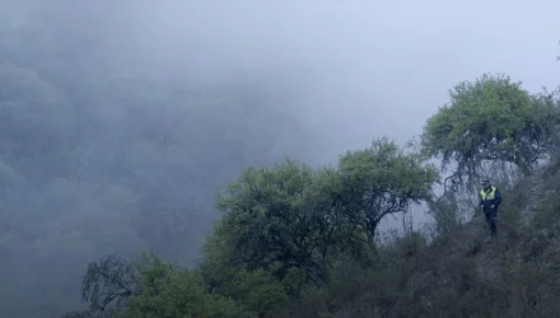 Lucrecia Martel se llevó el premio a Mejor Película en el Festival de Londres