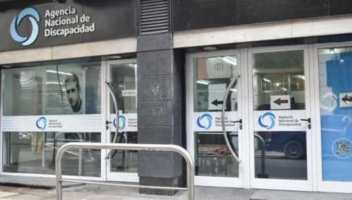 Presentaron un proyecto de declaración contra la disolución de ANDIS: &ldquo;Debilita la institucionalidad
