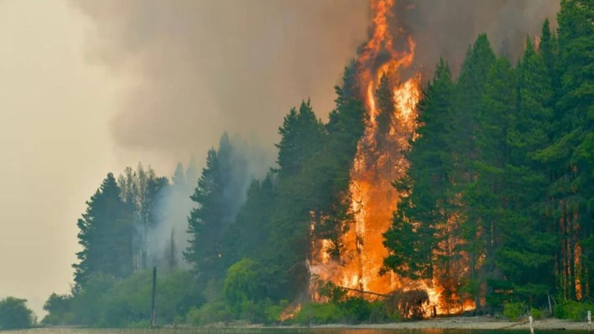 Incendios en el sur: Nación culpó sin pruebas a una comunidad mapuche y la Justicia la mandó a allanar