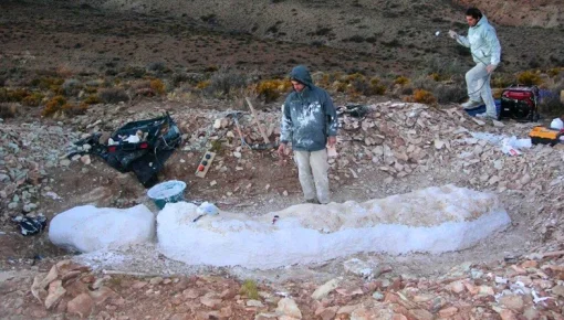 Bicharracosaurus: el nuevo dinosaurio que halló el Conicet en Chubut