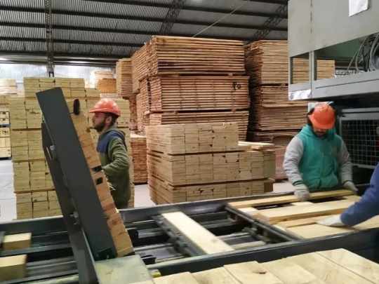 Crisis en Misiones: cierre de un aserradero deja 130 familias en la calle y trabajadores resisten al vaciamiento
