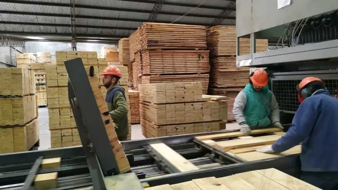 Crisis en Misiones: cierre de un aserradero deja 130 familias en la calle y trabajadores resisten al vaciamiento
