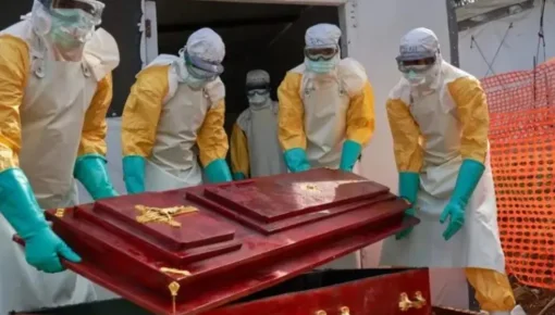 Alerta mundial por ébola en África: la República Democrática del Congo supera las 620 muertes